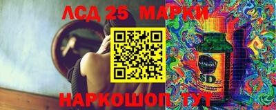 мдпв Гусев
