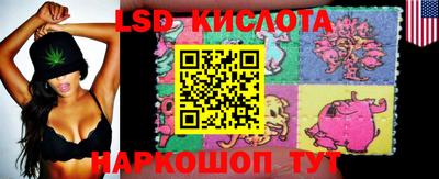 мдпв Гусев