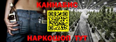 мдпв Гусев