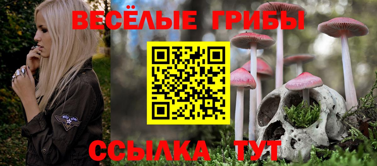 Галлюциногенные грибы ЛСД Новоалтайск
