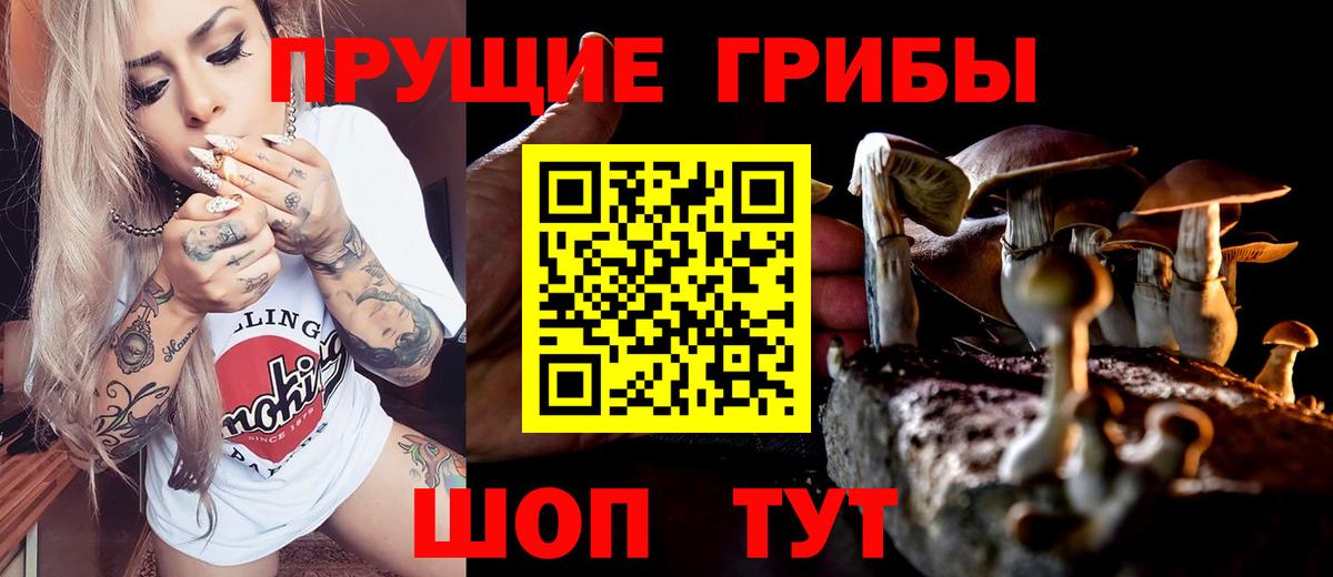 Галлюциногенные грибы MAGIC MUSHROOMS  Вход с VPN  Новоалтайск 